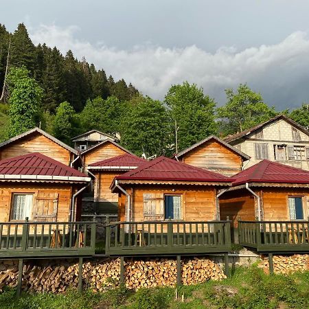 Pilita Bungalov&Rest Ayder Yaylasi Exterior foto