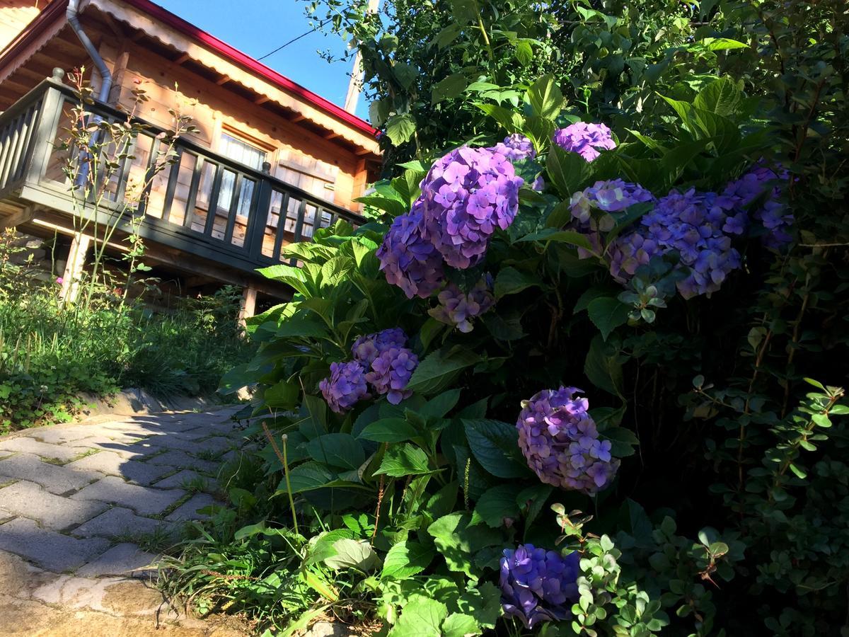 Pilita Bungalov&Rest Ayder Yaylasi Exterior foto